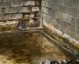 Leaking and water stains in damp basement