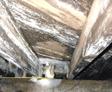 Mold on crawlspace beams.