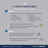 why is mold bad