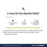 how to identify mold