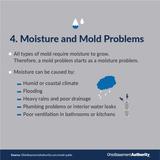 moisture and mold problems