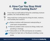 how to stop mold