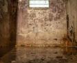 Wet basement damage near basement window