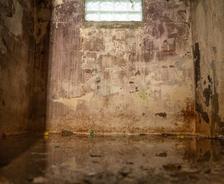 Wet basement damage near basement window