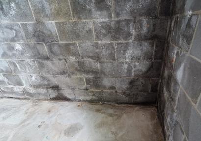 basement moisture problems