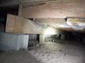 Dirty crawlspace with moldy beams