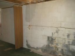 Basement wall with visible water damage, cracked bricks, and mold. Hanging cord on left side near a wooden divider.