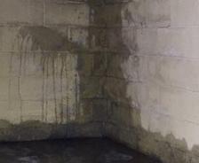 wet basement wall