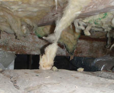 Falling insulation and moldy beams in dirty crawlspace.