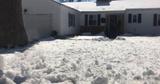 snow covered lawn