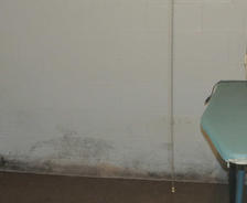 laundry in the basement with moldy walls