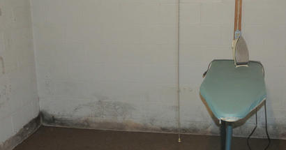 laundry in the basement with moldy walls