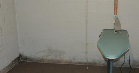 laundry in the basement with moldy walls