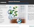 Japanese knotweed infographic