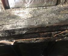 wood rot in crawl space