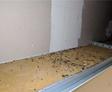 bug droppings on insulation