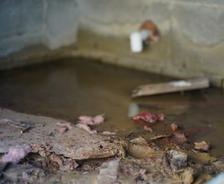 flooded crawl space