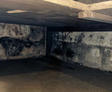 Mold on cinderblock wall in crawlspace