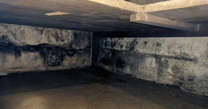 Mold on cinderblock wall in crawlspace