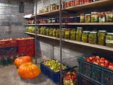 canned vegetables on shelves in basement and other produce in crates on floor