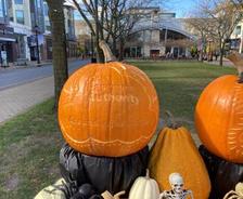 Ohio Basement Authority logo carved into a pumpkin at the Tricks and Treats at Crocker Park event