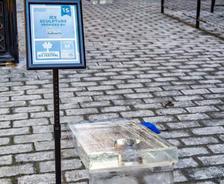 A block of ice with a small mirror on top, next to a sign for an ice sculpture festival on a cobblestone path.