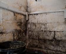mold on basement wall