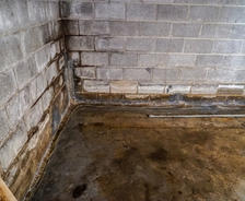 A damp, empty basement with dirty concrete walls and floors, showing signs of mold and past basement flooding.