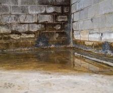 water on basement floor and moldy walls